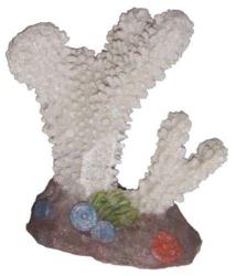 Koral biely 10 cm - Dekorcia