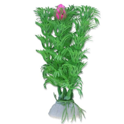 Rastlina do akvria 1B06, 10cm