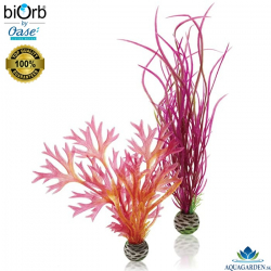 biOrb Plant Set M Red & Pink - Akvriov rastlinky