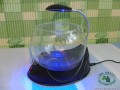 Akvrium Mini Fish Bowl V01 - Zapnut LED osvetlenie