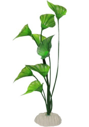 Rastlina do akvria M011