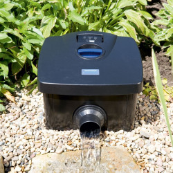 Filter do jazierka � kompletn� sprievodca pre �ist� vodu