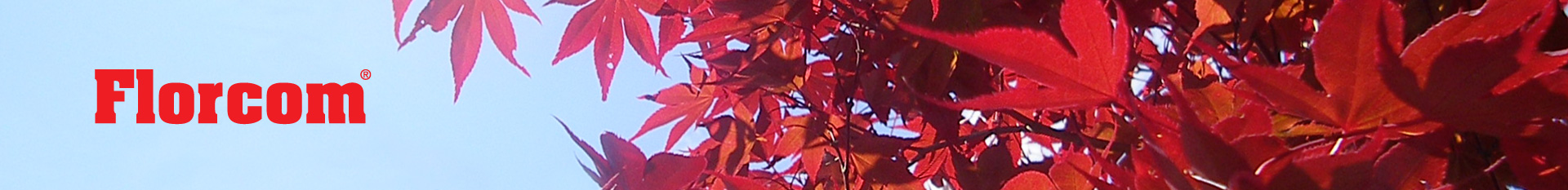 Florcom