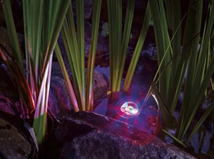 ProfiLux Garden RGB efekt RGB efekt