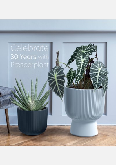 Kolekcia Prosperplast 2023 / 2024