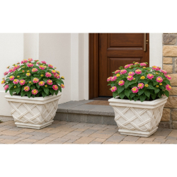 Z�hradn� bet�nov� kvetin�� K11