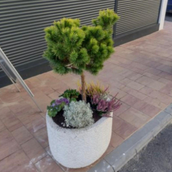 Kvetináč K23 Veľký ovál Kvetináč K23 Veľký ovál