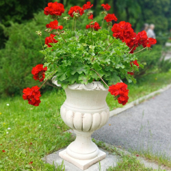 Záhradný betónový kvetináč K27 Záhradný betónový kvetináč K27