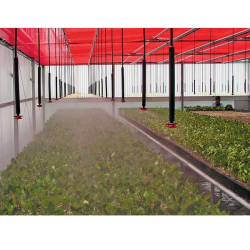 Senninger I-MISTER 1/2 M zahmlievacia tryska