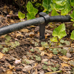 IDEGS-16 � Zemn� �chyt