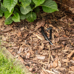 IDEGS-16 � Zemn� �chyt