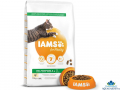 IAMS Adult Cat Food with Fresh Chicken 10kg