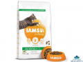 IAMS Adult Cat Food with Lamb - Krmivo pre maky