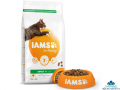 IAMS Adult Cat Food with Fresh Chicken 2kg