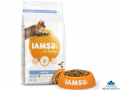 IAMS Dental Cat Food with Fresh Chicken 2 kg