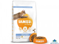 IAMS Dental Cat Food with Fresh Chicken 10 kg