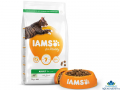 IAMS Adult Cat Food with Lamb - Krmivo pre maky