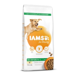 IAMS Dog Adult Large Lamb - Krmivo pre psov