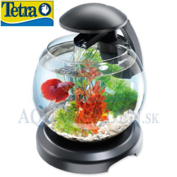 Tetra Cascade LED 6,8l Black - Akvrium