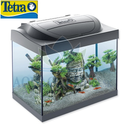 Tetra Starter Line LED 30l Antracit - Akvrium