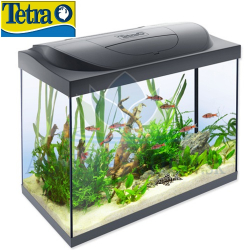 Tetra Starter Line LED 80l Antracit - Akvrium