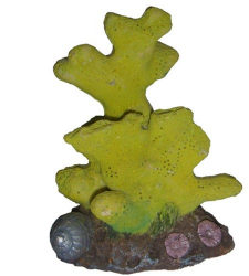 Koral zelený 9 cm - Dekorácia