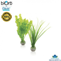 biOrb Easy Plant Set S Green - Akváriové rastlinky