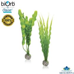 biOrb Easy Plant Set M Green - Akváriové rastlinky