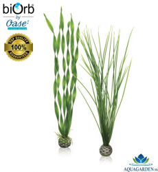 biOrb Easy Plant Set L Green - Akváriové rastlinky