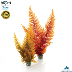 biOrb Aquatic Autumn Fern Set 2 - Akvriov rastlinky