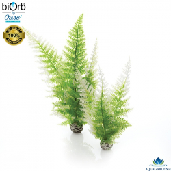 biOrb Aquatic Winter Fern Set 2 - Akvriov rastlinky