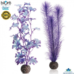 biOrb Kelp Set Purple - Akváriové rastlinky