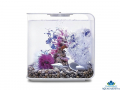 biOrb Pink Ocean Decor Set 30l - Akvriov dekorcie