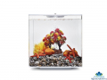 biOrb Autumn Decor Set 15l - Akvriov dekorcie