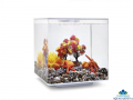 biOrb Autumn Decor Set 15l - Akvriov dekorcie