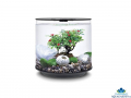 biOrb Winter Decor Set 15l - Akvriov dekorcie