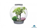 biOrb Summer Decor Set 30l - Akvriov dekorcie