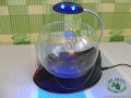 Akvárium Mini Fish Bowl V01 - Zapnuté LED osvetlenie