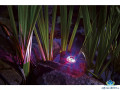 Oase ProfiLux Garden LED RGB - Jazierkov LED reflektor