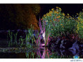 Oase ProfiLux Garden LED RGB - Jazierkov LED reflektor