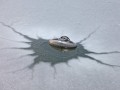 Rozmrazovací plavák IceFree Thermo