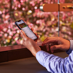 Oase LunAqua Connect